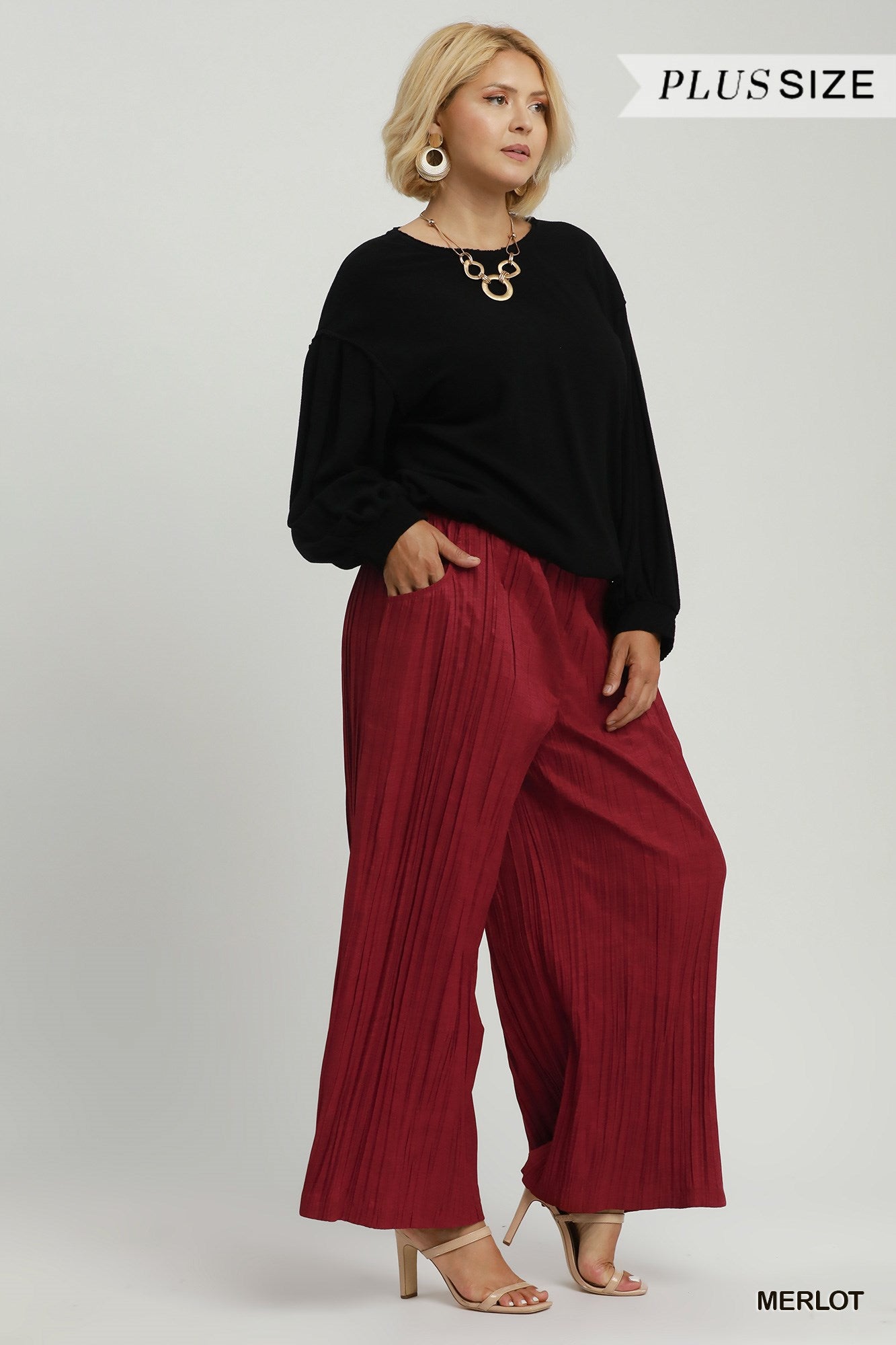 Umgee Pleated Wide Leg Pants