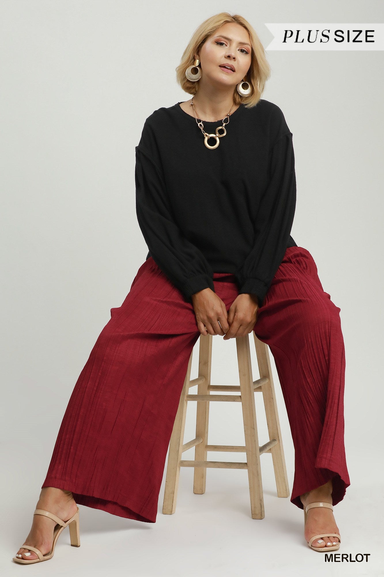 Umgee Pleated Wide Leg Pants